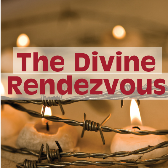 The-devine-rendezvous