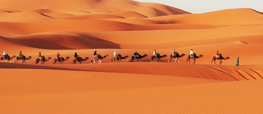 Caravan in Sahara desert